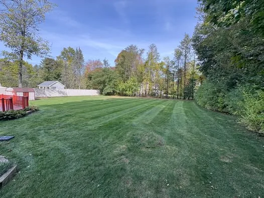 Freshly striped backyard lawn edged by mature trees under a blue sky