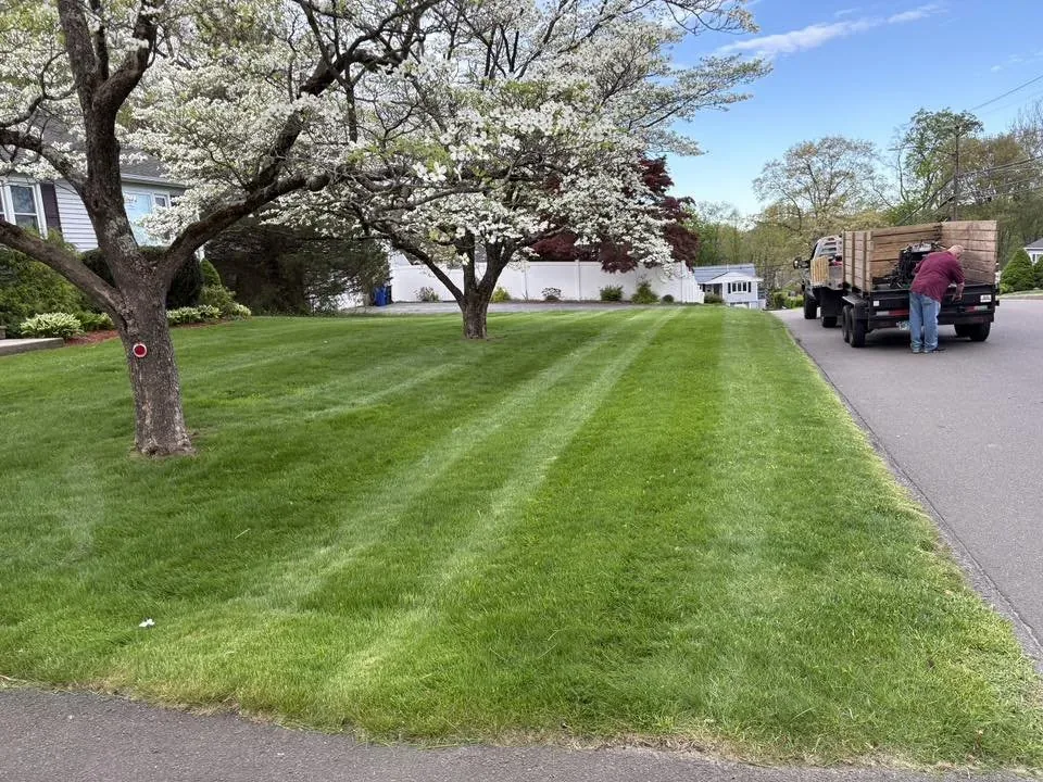 Striped front lawn under flowering dogwoods with our crew truck at the curb