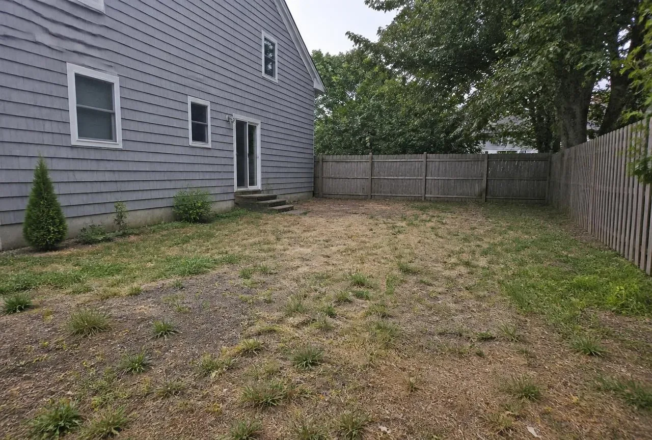 Before: Patchy weedy backyard lawn with tired beds before landscaping