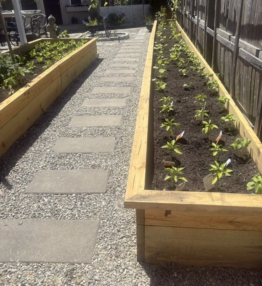 Cedar raised vegetable beds flanking a bluestone stepper path