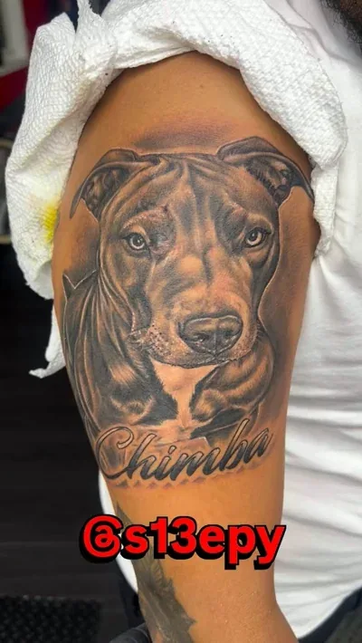 Black and grey realism portrait tattoo of a pitbull named Chimba